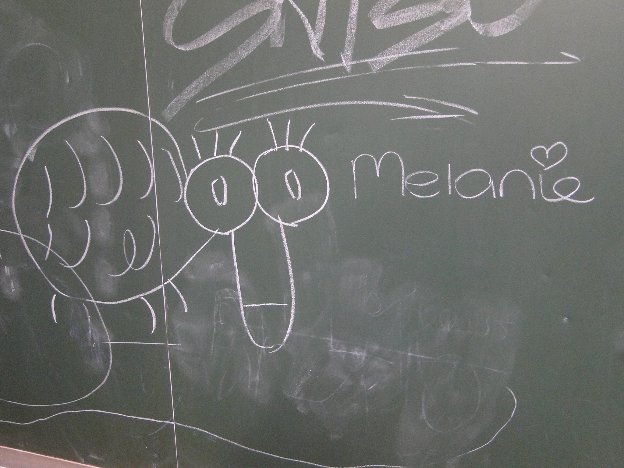 2011HWK 045.jpg